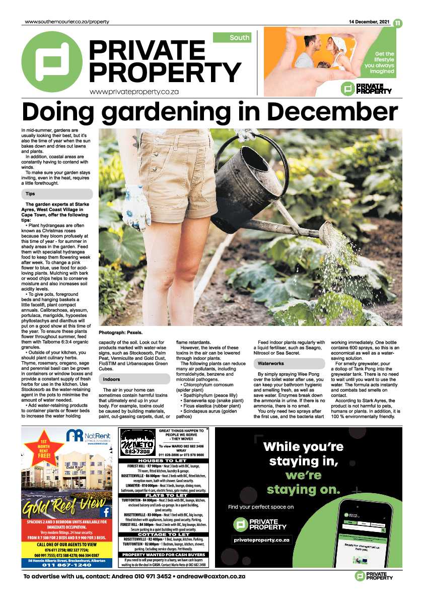 Southern Courier 14 December 2021 page 13