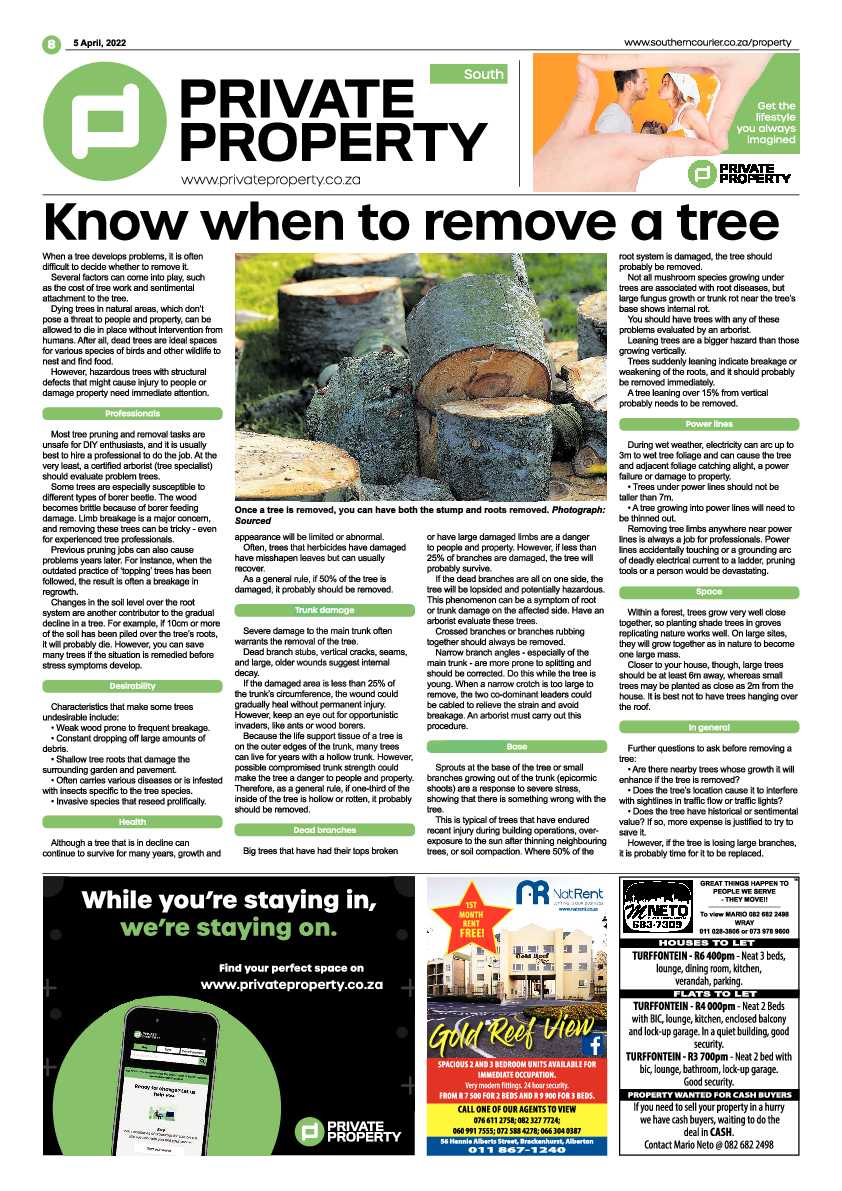 Southern Courier 5 April 2022 page 8